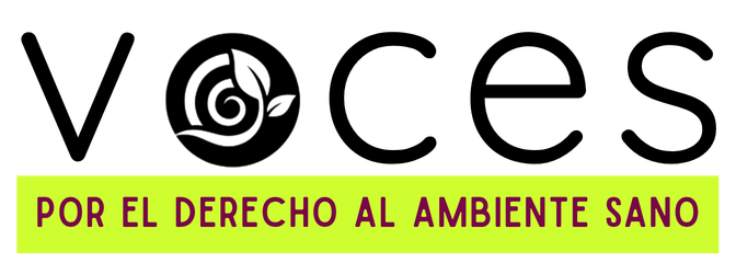 Logo_VocesxDHAS_Negro